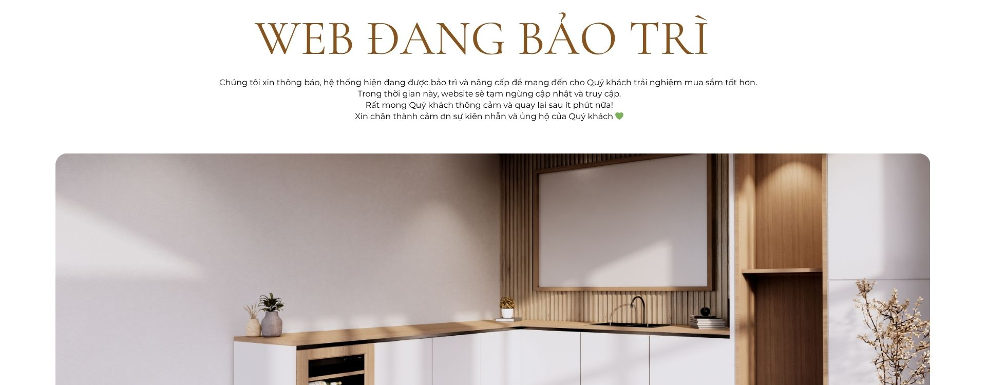 BẢO TRÌ WEB